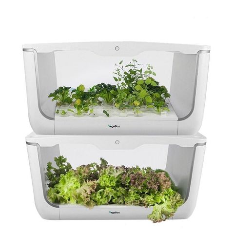 Проращиватель VegeBox H-Box (домашняя садовая ферма, 2 уровня)