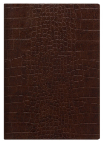 Ежедневник Letts Croc A5, кожа искусственная, кремовые страницы, мягкая обложка, коричневый (22-082210)