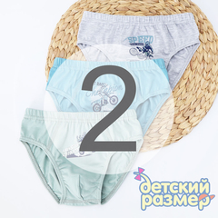 2 (3-4 года)