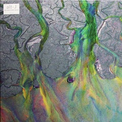 Alt-J / An Awesome Wave (LP)