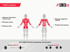 Скамья силовая универсальная UnixFit BENCH 130P BSBN130P