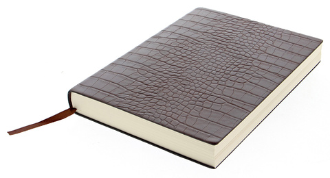 Ежедневник Letts Croc A5, кожа искусственная, кремовые страницы, мягкая обложка, коричневый (22-082210)