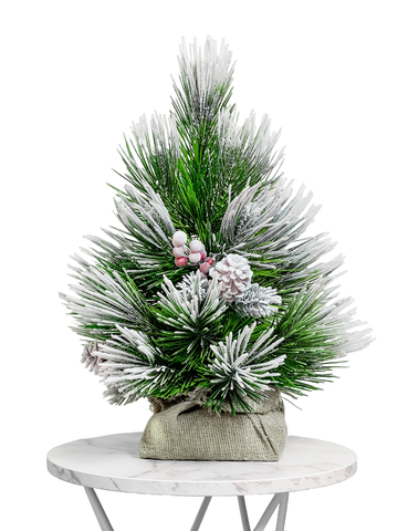 Сосна настольная (иней-кончики) 55 см