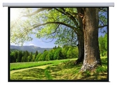 Проекционный экран Mr.Pixel MSPSAC200V2 120X160