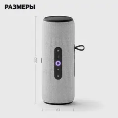 Портативная умная колонка Яндекс Станция Стрит с Алисой, 30 Вт,YNDX-00030GRY , серый