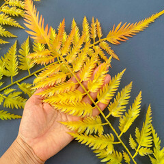 Папоротник осенний оранжевый, зелень искусственная, 60 см, набор 5 веток.