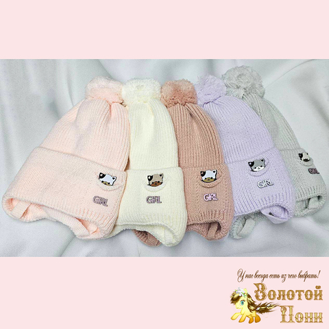 Шапка на хлопке д (3-5) 251019-Ш4087