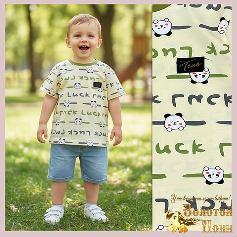 Футболка хлопок м (1-5) 260113-Q4034