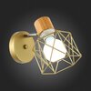Светильник настенный Evoluce Stelitto SLE110401-01