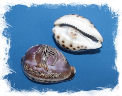 Каури с гравировкой "Близнецы"