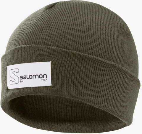 Картинка шапка Salomon Outlife Logo Beanie Olive Night - 1