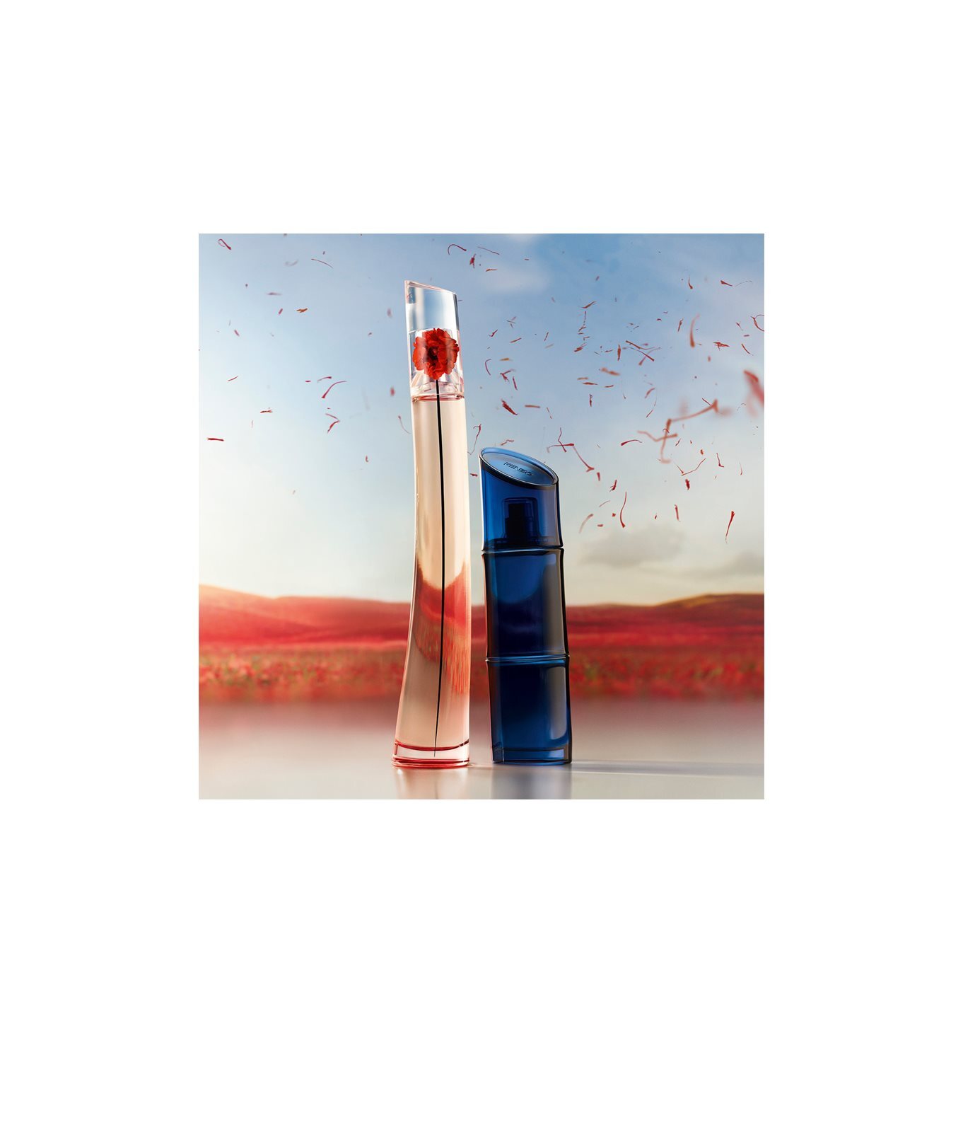 KENZO Flower by Kenzo L Absolue