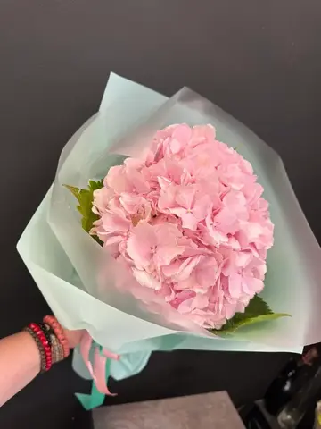 Гортензия, 1шт