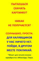Сахарная Картинка на Новый Год 44/14 (бенто)