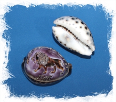 Ципрея с гравировкой "Лев"