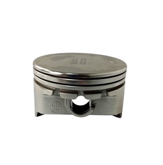 Поршень LC1P65FE-2/130030303-0001