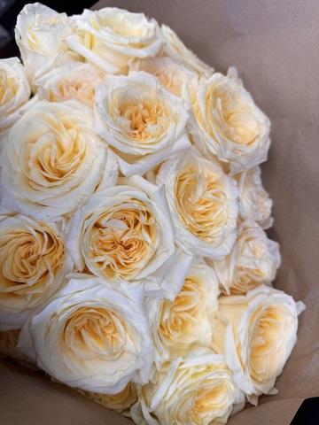 Роза пионовидная кэндл Лайт