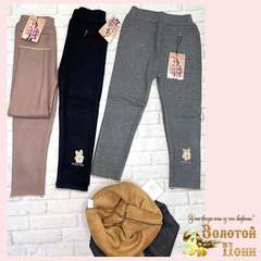 Лосины на меху детские (1-5) 250910-TR2056
