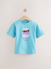 Футболка для мальчика Next AG8-713, Голубой