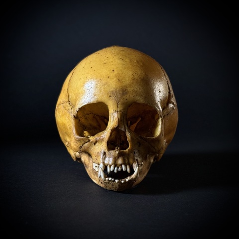 Маленький монстр