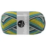 Пряжа Lana Grossa Meilenweit 100 Aktion 3027