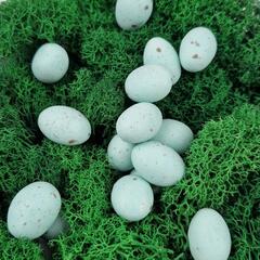 Драже Яйца матовые бирюзовые 100 гр.