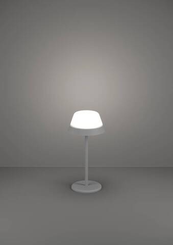 Аккумуляторная настольная лампа Eglo MEGGIANO 900978