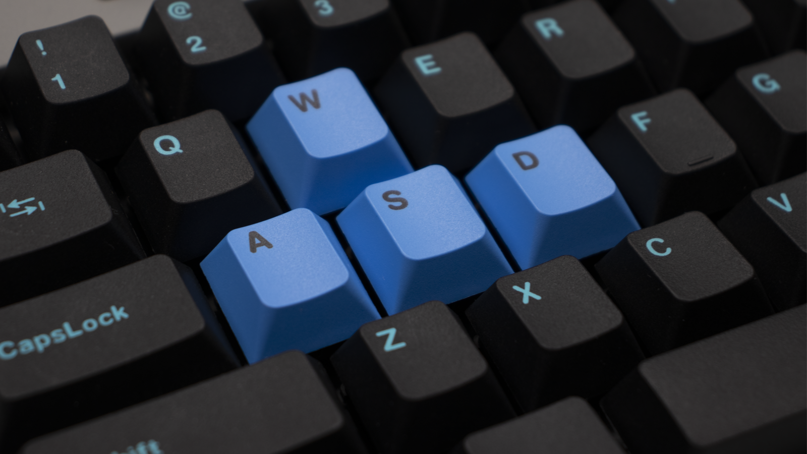 Wasd чей проект