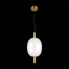 Светильник подвесной ST Luce Allenore SL1582.313.01