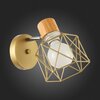 Светильник настенный Evoluce Stelitto SLE110401-01