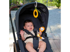 Tiny Love Подарочный набор Солнечная полянка (3333170101)