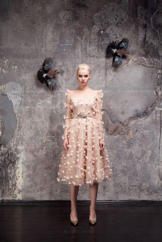 Fall/Winter 2016 Limited edition