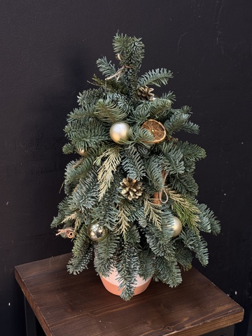 Новогодняя композиция «Елочка» с корицей и апельсинами