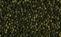 Tetra Pleco Tablets основной корм для сомиков и 