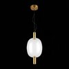 Светильник подвесной ST Luce Allenore SL1582.313.01