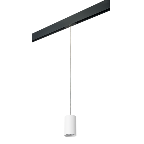 Трековый светильник Lightstar Rullo PRORP436