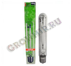 Osram PLANTASTAR