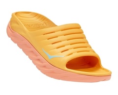 AMBER YELLOW / SHELL CORAL