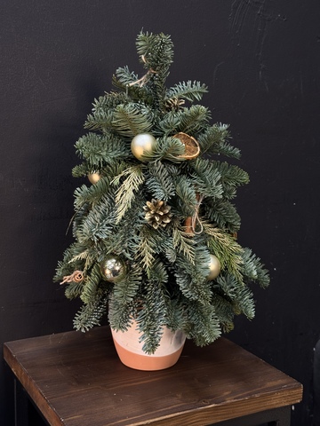 Новогодняя композиция «Елочка» с корицей и апельсинами