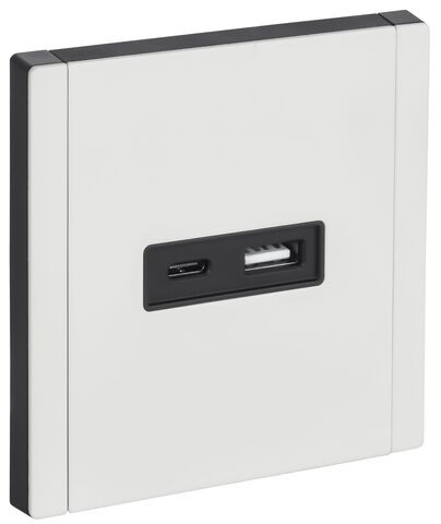 FORTE&PIANO Роз. USB A+C 3,1А FP250M бел. IEK