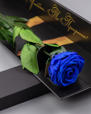 Роза Премиум в подарочной коробке(черная) комплимент .Бутон синий.