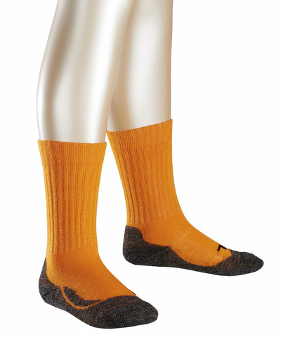 Носки Active Warm FALKE 10450/8094