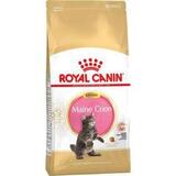 Сухой корм для котят крупных пород Royal Canin Maine Coon Kitten 10 кг