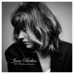 Jane Birkin / Oh! Pardon Tu Dormais...(LP)