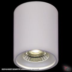 Светильник точечный накладной 81117-9.5-001RT LED10W WT Белый