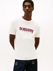 Футболка мужская TOMMY JEANS TJM REG APPLIQ GRAPH