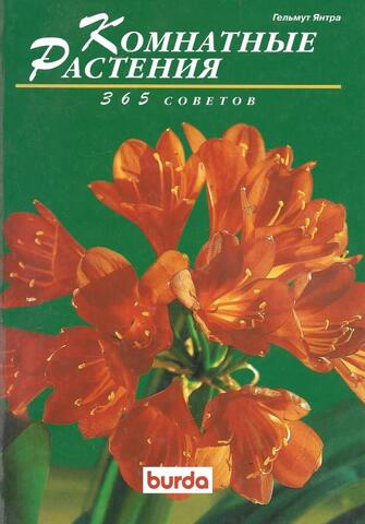 Комнатные растения