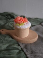Силиконовая форма 