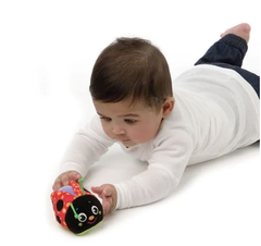 Playgro Игрушка инерционная 