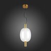 Светильник подвесной ST Luce Allenore SL1582.313.01